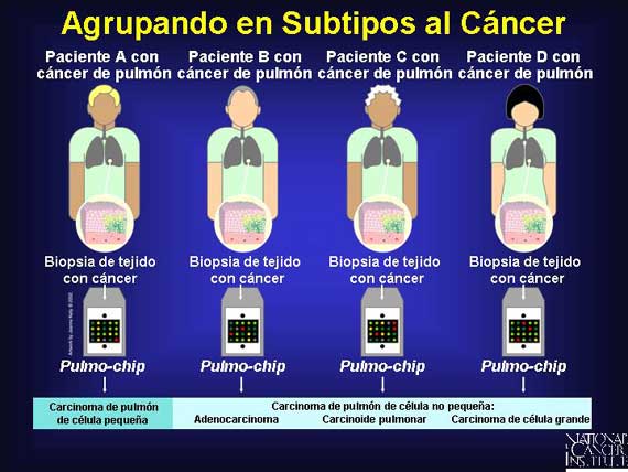 Agrupando en Subtipos al Cáncer