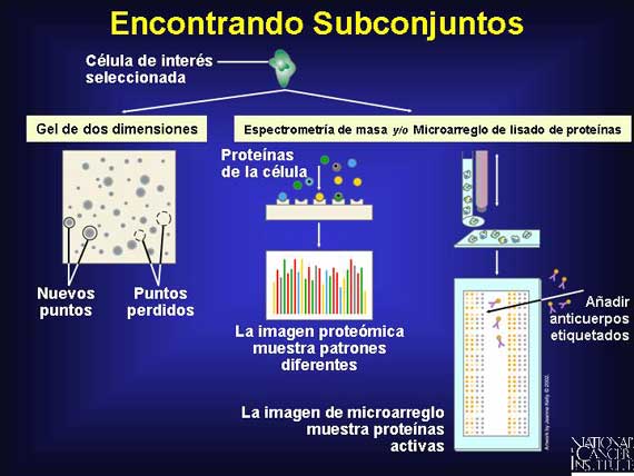 Encontrando Subconjuntos