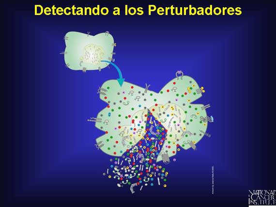 Detectando a los Perturbadores