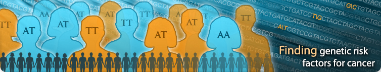 Finding genetic risk factors for cancer