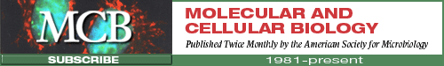 Logo of molcellb