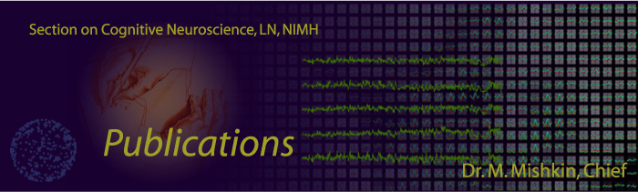 Laboratory of Neuropsychology Banner