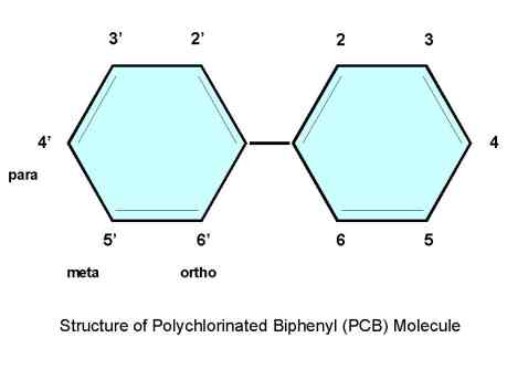 [diagram of the structure of a pcb molecule]