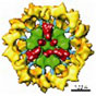 Computer-generated three-dimensional (3-D) image of a multienzyme complex involved in cellular metab