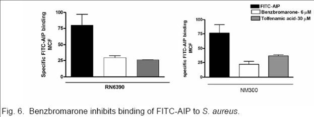 Autoinducing pheromone (AIP)-dependent bacterial quorum sensing:  AIP binding target : bioassay image
