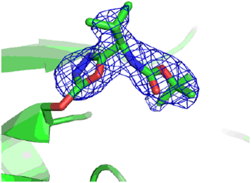 AmpC beta-lactamase Covalent Inhibitor : bioassay image