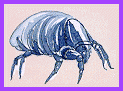 A Dust Mite
