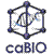 caBIO Logo