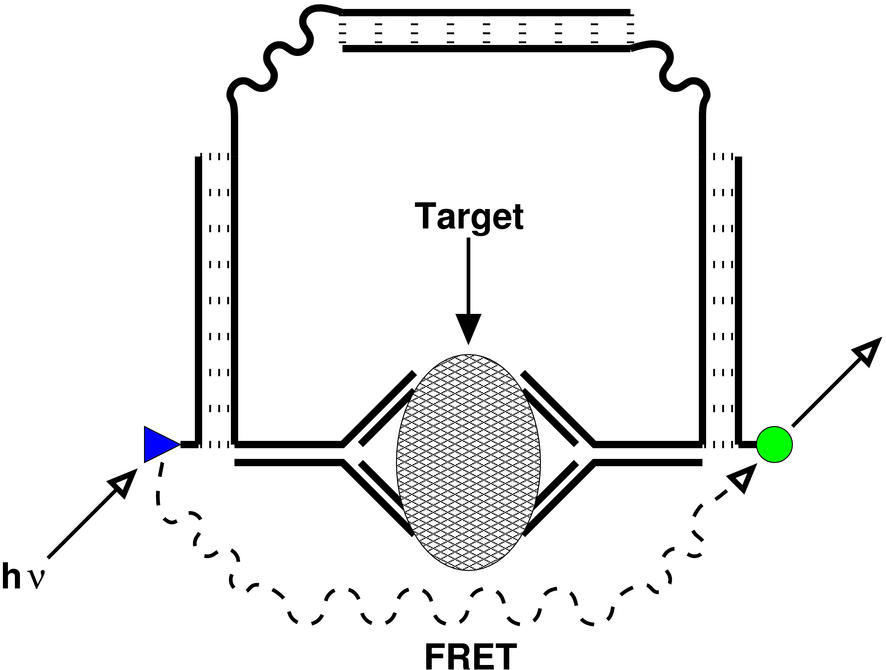 bar probe closed