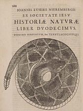 Historia Naturae, Maxime Peregrinæ, Libris XVI Distincta (A Natural History of the Americas).