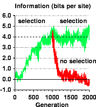 ev-fig2b.gif