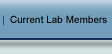 Current Lab Members