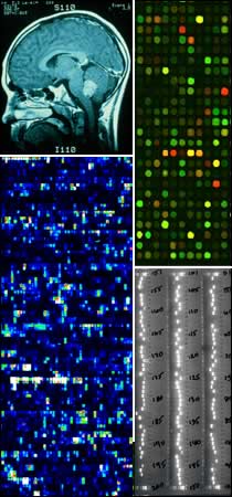 series of array and genomic imagery
