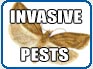 Invasive Plant and Animal Pests and Diseases