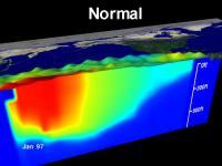 Equatorial Pacific water and sst temperatures under normal conditions