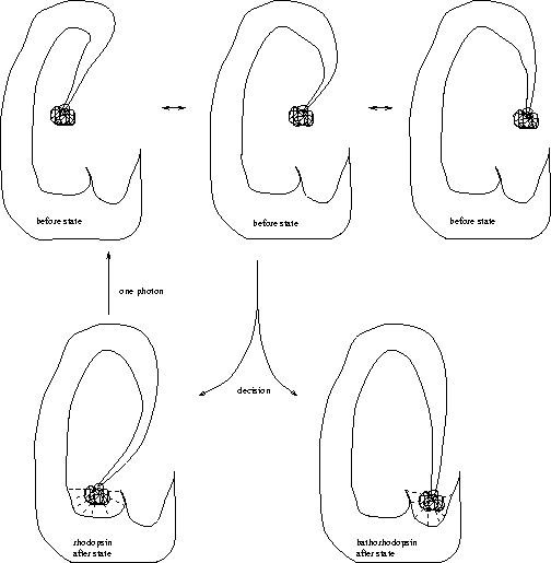 \vspace{5.4in}
\special{psfile=''fig/rhod.ps''
hoffset=36 voffset=-117
hscale=70 vscale=70
angle=0}