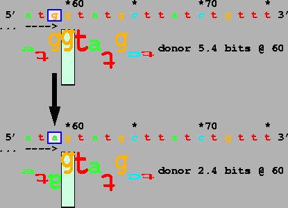 \vspace{5.5in}
\special{psfile=''col1a2.ps''
hoffset=0 voffset=400
hscale=80 vscale=80
angle=-90}