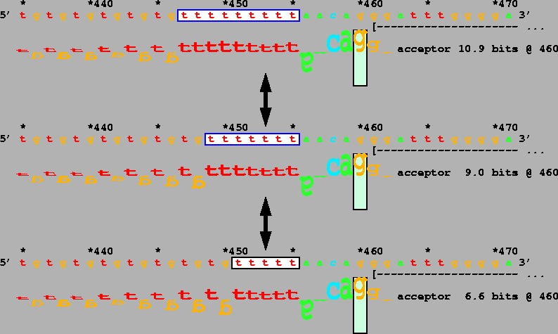 \vspace{5.5in}
\special{psfile=''cftr.ps''
hoffset=-50 voffset=400
hscale=80 vscale=80
angle=-90}