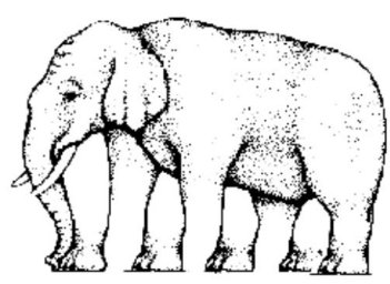 How many legs does this elephant have?