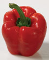 Red Pepper