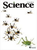 The cover of SCIENCE magazine