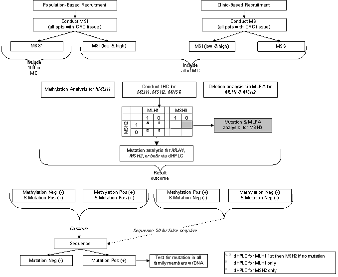 Phase I Molecular Characterization Scheme
