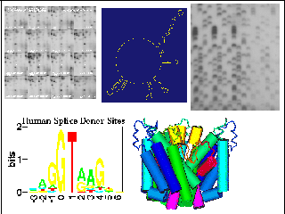 CCRBP Research Topics