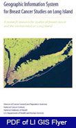 Cover of LI GIS flyer