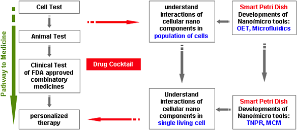 CCC Plan - described in the text following this image