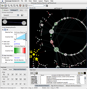 Cytoscape 2.5 Screenshot