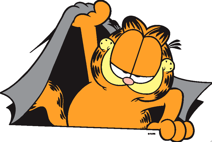 Garfield The Cat