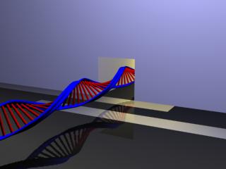 left handed DNA image