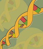 left handed DNA image