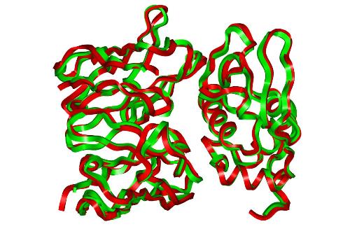 Overlay  of C-α  backbones of the HH26-HEL model and HH26-HEL crystal structure