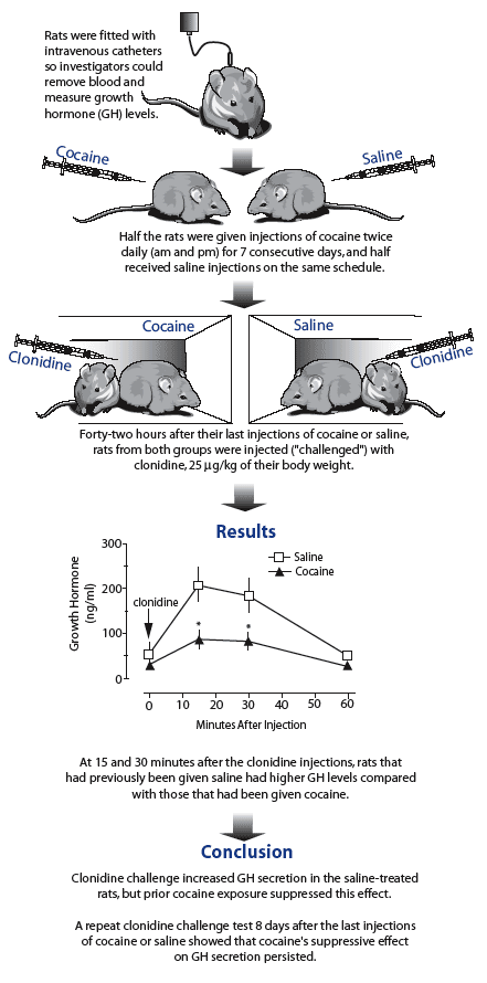 Graphic: Clonidine Challenge Suggests That Cocaine Abuse Desensitizes Adrenergic System