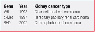 Gene Year Kidney cancer type, VHL 1993 Clear cell renal cell carcinoma, 
c-Met 1997 Hereditary papillary renal carcinoma,
BHD 2002 Chromophobe renal carcinoma