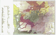 Afghanistan ethnic groups