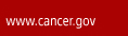 www.cancer.gov