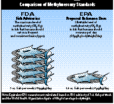 FDA v.EPA