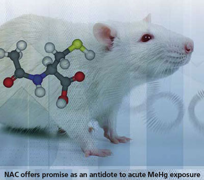 illustration of rodent and chemical structure