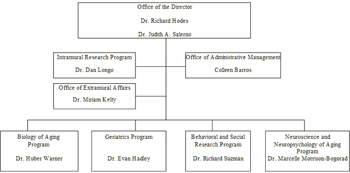 NIA Organizational Structure - Office of the Director Dr. Richard Hodes and Dr. Judith A. Salerno, Intramural Research Program Dr. Dan Longo, Office of Administrative Management Colleen Barros, Office of Extramural Affairs Dr. Miriam Kelty, Biology of Aging Program Dr. Huber Warner, Geriatrics Program Dr. Evan Hadley, Behavioral and Social Research Program Dr. Richard Suzman, Neuroscience and Neuropsychology of Aging Program Dr. Marcelle Morrison-Bogorad