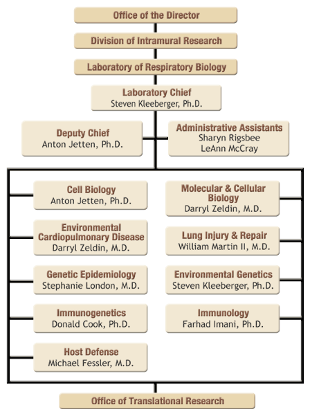 Laboratory of Respiratory Biology: Organizational Chart