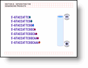 Separating the Sequencing Products