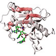 The solution structure of Epsilon-186 domain from the E. Coli DNA polymerase