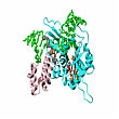 Beta Polymerase Bound to Gapped DNA, Domain Structure