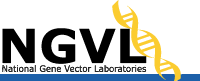 NGVL: National Gene Vector Laboratories