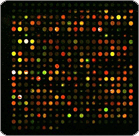 Microarray