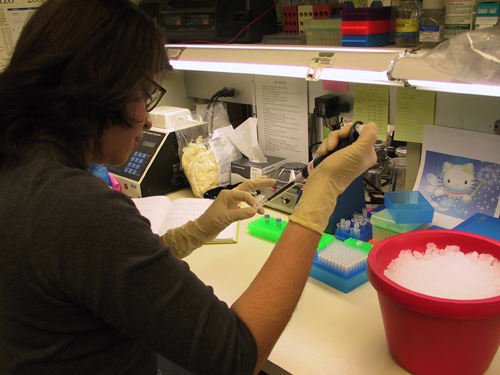 Researcher with Pipette
