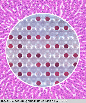 Cell Scenario: A New Look at Microarrays