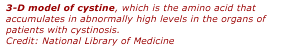 3-D model of cystine, which is the amino acid that accumulates in abnormally high levels in the organs of patients with cystinosis.